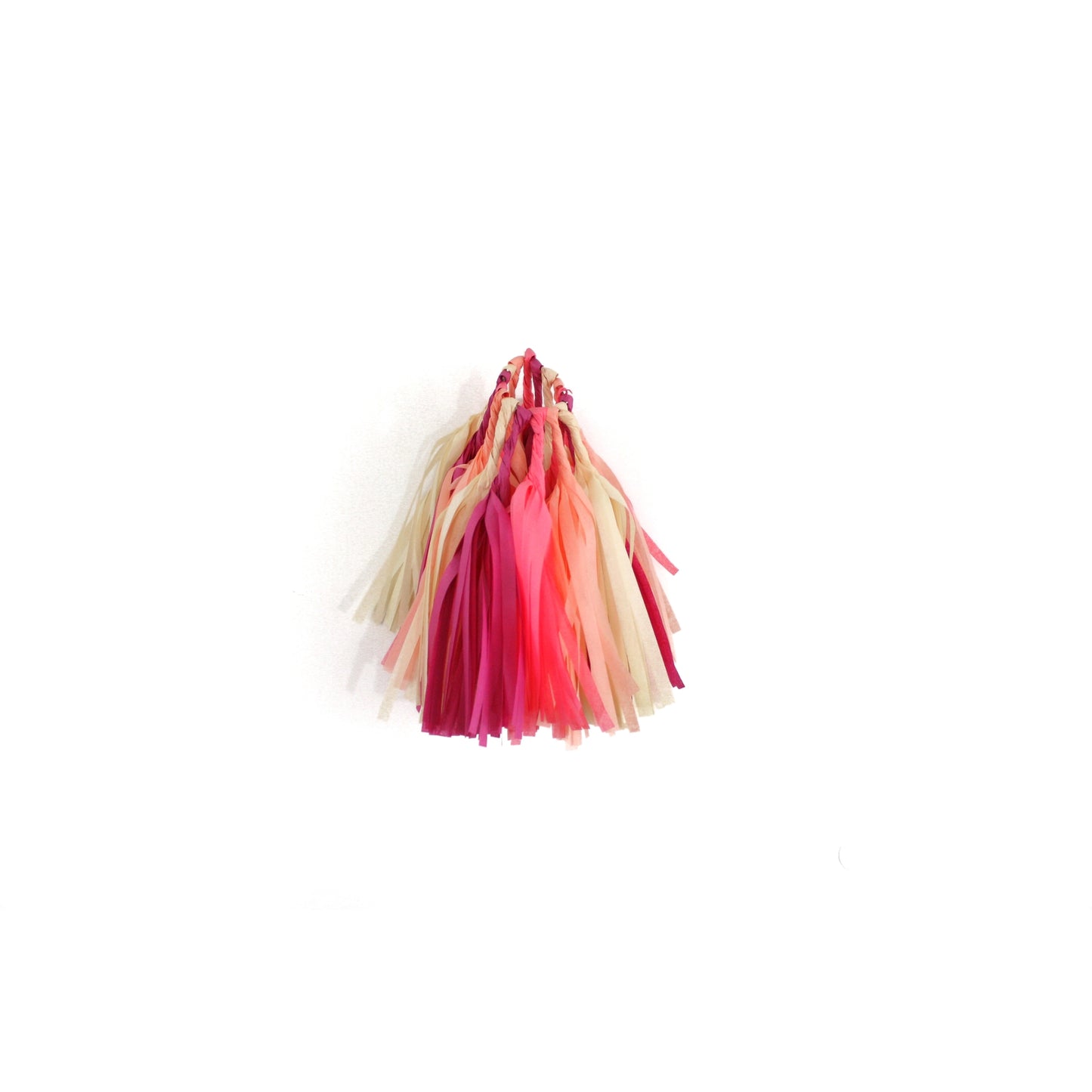 Macaron Tissue Tassel Kit