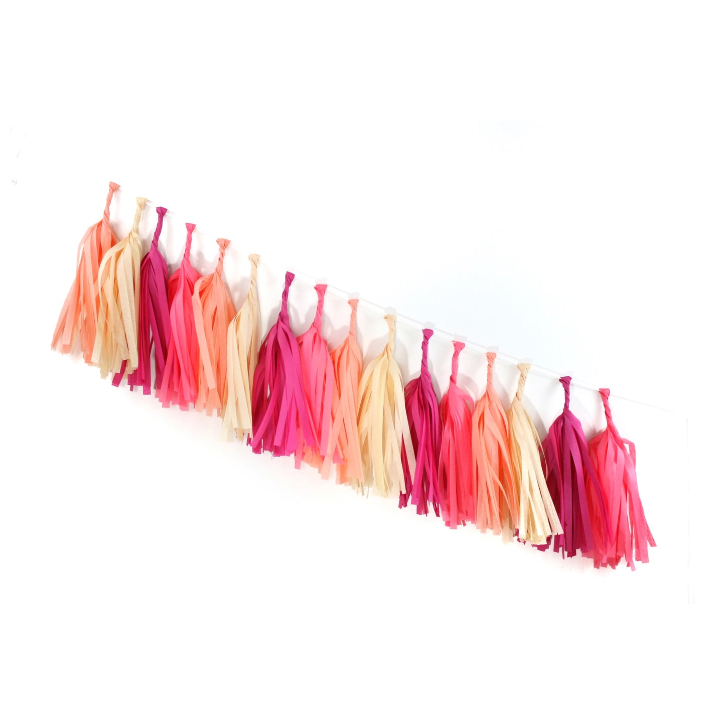 Macaron Tissue Tassel Kit