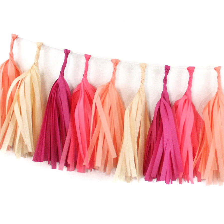 Macaron Tissue Tassel Kit