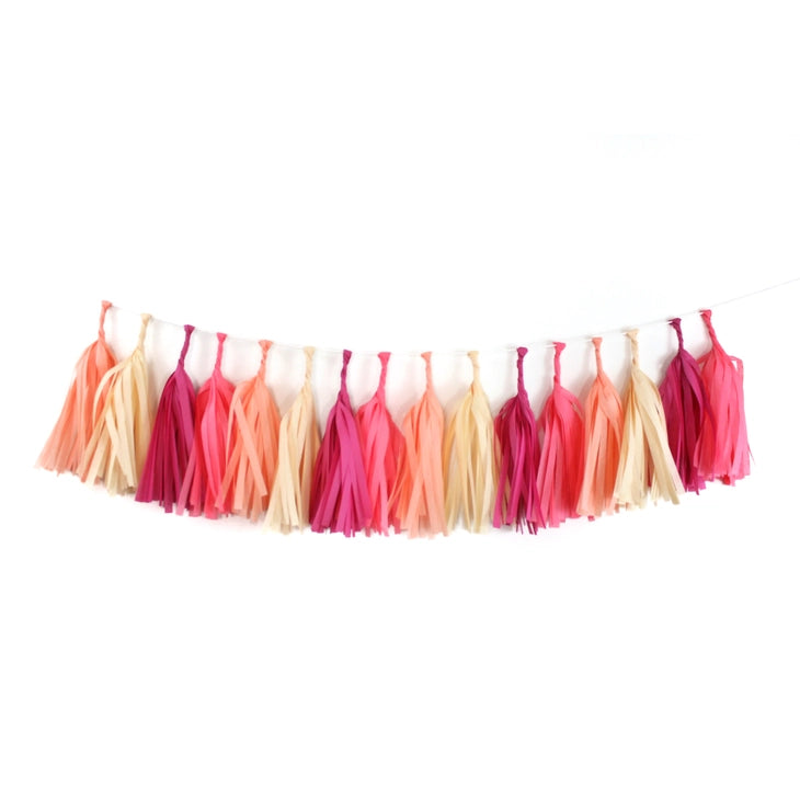 Macaron Tissue Tassel Kit